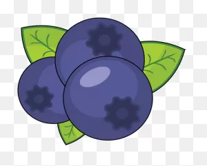 Blueberry Clipart. Free Download Transparent .png | ClipartFlare