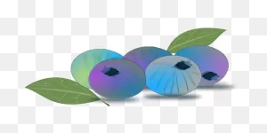 Blueberries Smoothie £3 - Blueberry Clipart - Full Size Clipart ClipartFlare.com 