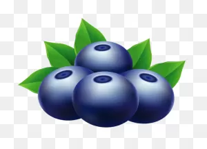 Blueberries Png Clip Art Image | Art Images, Clip Art, Free Clip Art
