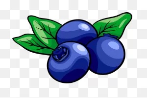 Muffin Blueberry Royalty-Free Clip Art - Blueberry Vector ClipartFlare.com 