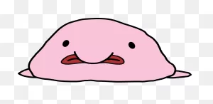 A Brief Discussion Of The Blobfish