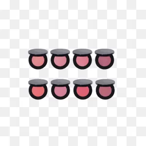 Flash Flush Blush Pro Bundle