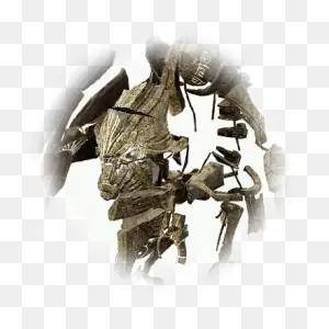 Ancient Ruins Defender - Monster | Black Desert Online Database