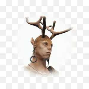 Ernill - Npc | Black Desert Online Database