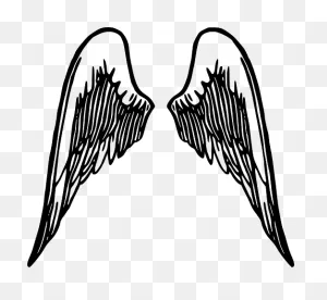 Black And White Angel Wings Transparent Png - Stickpng