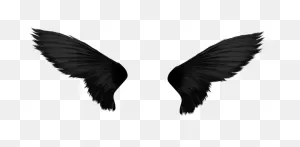 Black Wings Png - ClipartFlare