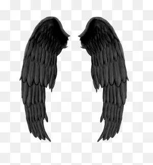 Black Wings Png Image - ClipartFlare | Free Transparent Cc0 Png Image ClipartFlare.com 