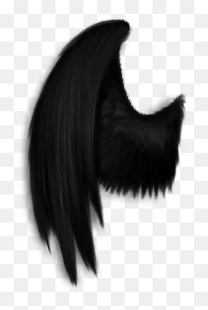 Darkangel #angelwings #angels #angel #wings #feathers - Black ClipartFlare.com 