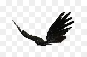 Free Black Wings Png, Download Free Black Wings Png Png Images ClipartFlare.com 