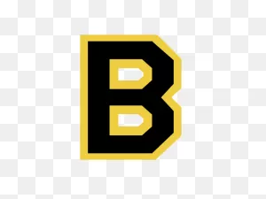 Boston Bruins Logo Png Transparent & PNG-WebP Vector - Freebie Supply