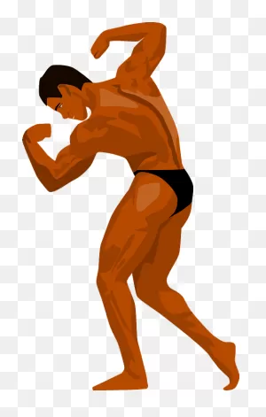 Bodybuilder Clipart. Free Download Transparent .png | ClipartFlare