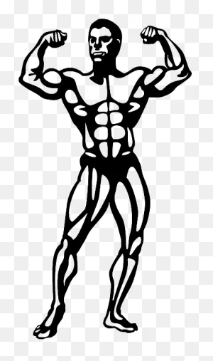 Bodybuilder, Muscle Set Muscle Memberships Jimmy Kimmel ClipartFlare.com 
