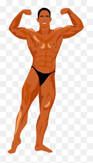 Bodybuilder Clipart. Free Download Transparent .png | ClipartFlare