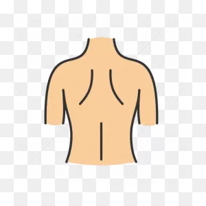 Back, Body Part, Human, Scapula, Shoulder, Spine, Woman Icon ClipartFlare.com 