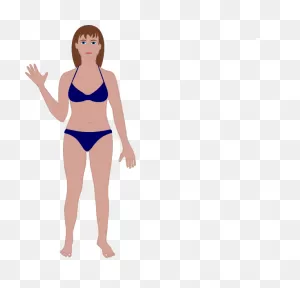 Female Human Body Clip Art - Women Body Vector Png Transparent Png ClipartFlare.com 