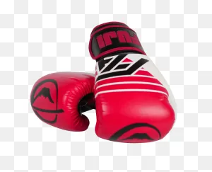Fuji Ascension Boxing Gloves 16Oz
