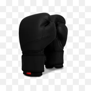 Icon Pro Training Boxing Gloves: Onyx