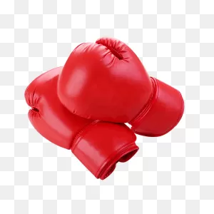Kick Boxing Gloves - Eboxing Market