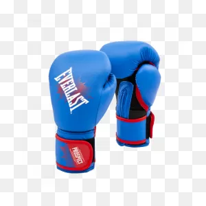 Prospect Youth Boxing Gloves