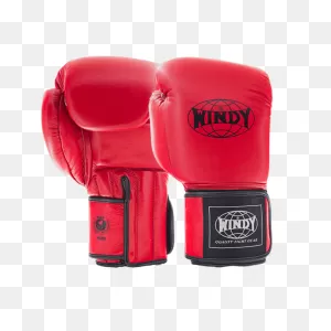 Proline Boxing Gloves - Red | Windy Fight Gear ®