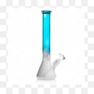 Bongs & Water Pipes | Free Shipping | Daily High Club