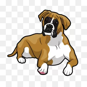 Boxermoji - Boxer Emoji & Stickers By Salaheddine Lahrar