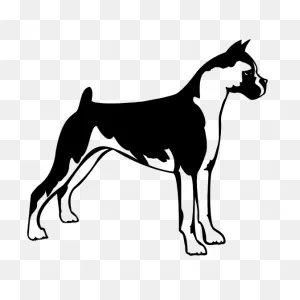Boxer Dog Sticker