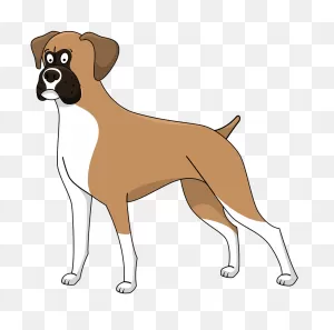 Boxer Clipart. Free Download Transparent .png | ClipartFlare