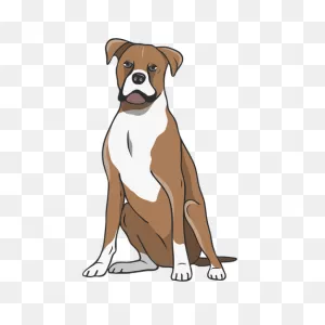 Vector Boxer Dog Transparent Png | 