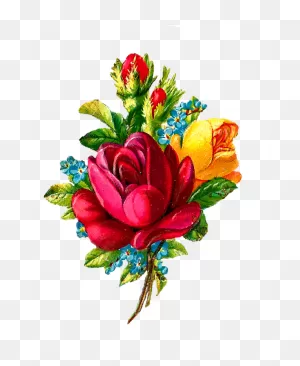 Family Flower Cut Flowers Flower Bouquet Clipart - Family Clipart ClipartFlare.com 