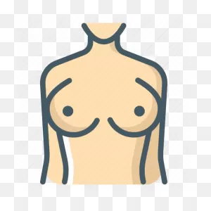 Female, Boobs, Breast Icon - Download On Iconfinder
