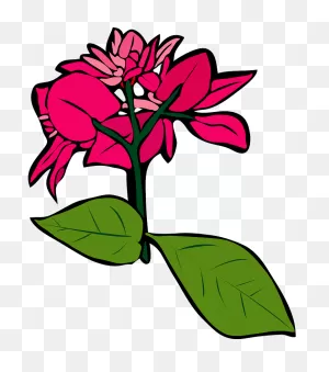 Bougainvillea Flower Clipart. Free Download Transparent .png ClipartFlare.com 