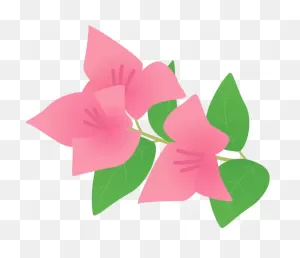Download Hd Bougainvillea Tree Png Download - Bougainvillea ClipartFlare.com 