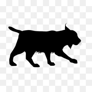 Bobcat Stalking Sticker