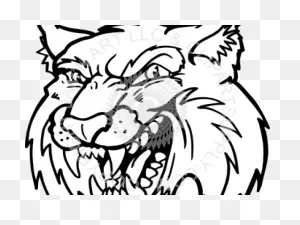 Download Cougar Clipart Bobcat - Bobcat Clip Art - Full Size Png ClipartFlare.com 
