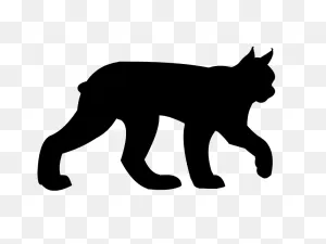 Eurasian Lynx Canada Lynx Bobcat Felidae Clip Art - Lynx Cliparts ClipartFlare.com 
