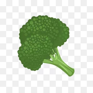 Broccoli Vegetable Green - Free Vector Graphic On ClipartFlare
