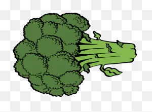 Broccoli Clip Art At ClipartFlare ClipartFlare.com - Vector Clip Art Online, Royalty ClipartFlare.com 