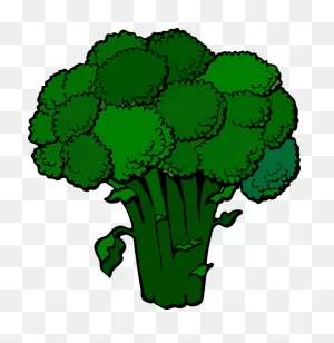 Broccoli Green Fresh - Free Vector Graphic On ClipartFlare