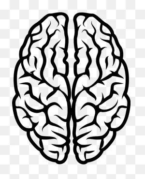 Brain Clipart Collection And Other Top 10 Themed Graphic Designs
