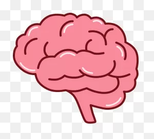 Brain Clipart. Free Download Transparent .png | ClipartFlare