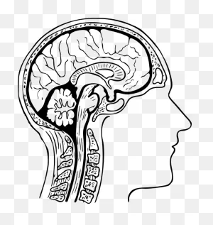 What Kinds Of Symptoms Are Indicative Of Traumatic Brain Injury?