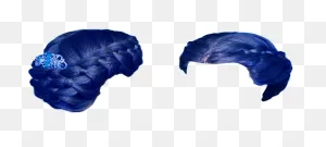 Blue Hair Png - Hair Transparent Background Braid Clipart - Full ClipartFlare.com 