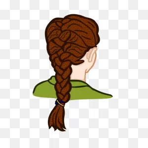 French Braid - Coloured | Free PNG-WebP