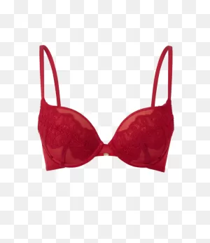 Gossard Vip Guipure Plunge Bra
