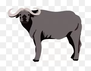 Buffalo Clipart Png Free Download | Png Arts