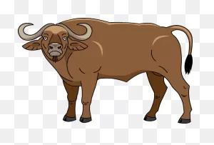 Buffalo Clipart. Free Download Transparent .png | ClipartFlare