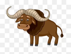 Buffalo Clipart - ClipartFlare