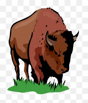 Free Buffalo Clipart