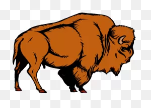 Free Buffalo Clipart 2 - ClipartFlare